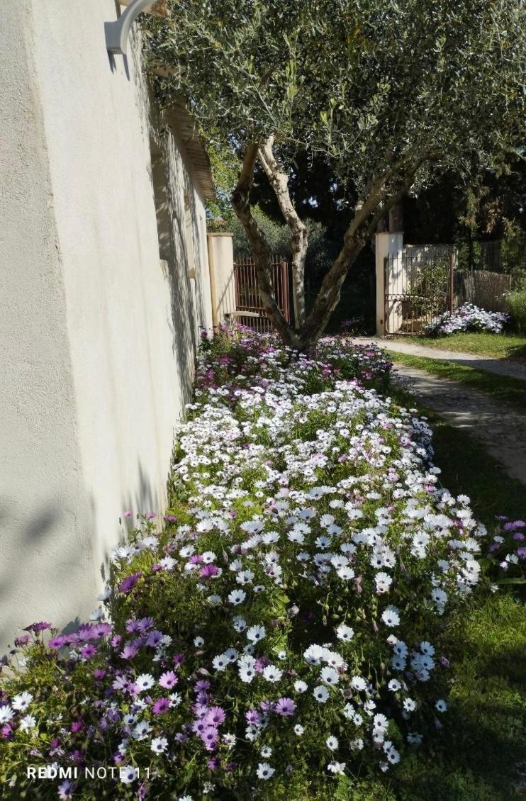 Maison De Campagne En Provence Barbentane Dış mekan fotoğraf